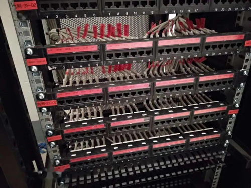 弱电工程网络模块与配线架端接标准化操作指南